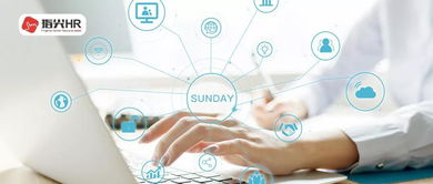 公司組織員工休息日培訓(xùn)，是否需要支付加班費(fèi)？——以辦公軟件服務(wù)為例